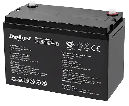 Akumulator żelowy 12V 100 Ah BAT0421